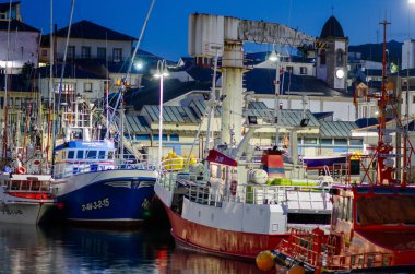 Renkli balıkçı tekneleri, arka planda geleneksel kıyı mimarisi ve sakin bir yansıtıcı su yüzeyi olan canlı bir limana demirlemişti..