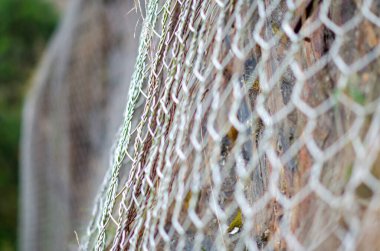 Kayalık bir yamaçta sağlam bir tel örgülü tel örgü dışarıda koruma ve güvenlik sağlar. Güvenlik, bariyer ya da peyzaj mühendisliği kavramları için mükemmel..