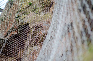 Güvenlik, koruma ve inşaat kavramları için uygun, engebeli taştan bir duvarın üzerine kurulmuş koruyucu metal tel örgü ağı..