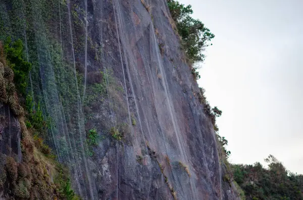 Heyelan ve erozyonu önlemek için kayalık yamaçlara örülmüş koruyucu tel örgü, doğal bir şekilde ağ boyunca büyüyen yeşil bitki örtüsüyle birlikte..