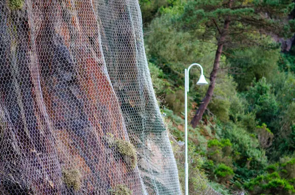 Beyaz bir sokak lambası ve yemyeşil yemyeşil ile güvenlik ve doğa arasında bir zıtlık oluşturan kayalık bir uçurumu örten koruyucu tel örgü, toprak kaymalarını önlüyor..