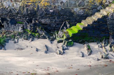 Engebeli kaya oluşumlarının yakın görüntüsü, yıpranmış taş duvarlar ve sakin kumlu bir sahil boyunca yosunlu adımlar. Kıyı manzarası, doku ayrıntıları, sahil doğası..