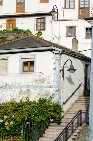Kırsal ahşap pencereleri, klasik sokak lambası ve yeşil bahçe bitkileriyle çevrili taş merdivenleri olan eski bir Avrupa yerleşim yerinin büyüleyici dış görünüşü..
