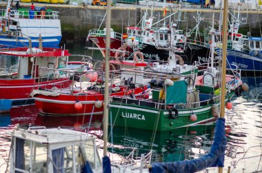 Bir İspanyol köyünün canlı bir limanına çok sayıda parlak boyalı balıkçı teknesi yanaşmış, canlı yerel kültürü ve günlük deniz aktivitelerini yansıtıyorlar..