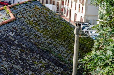 Yeşil yosunlarla kaplı eskimiş çatı, bir baca ve kentsel arka plana sahip, Avrupa 'da bir kasaba ortamında yaşını ve kırsal cazibesini aktaran.