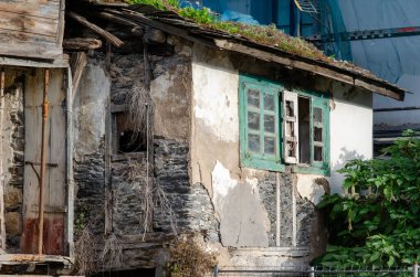Çatlak duvarları ve aşırı gelişmiş bitkileri olan yıpranmış ve çürüyen kırsal bir ev nostalji ve ihmal hissi uyandırıyor. Çürüme, restorasyon veya kırsal yaşam kavramları için mükemmel..