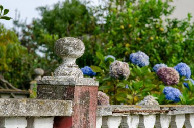 Canlı ortancalarla dolu bahçesinde dokulu bir yüzeyi olan eski taş çit direği. Sakin yaz atmosferi, kırsal cazibe, açık hava çiçekleri..