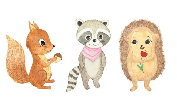 Cute cartoon forest animals. squirrel, hedgehog, racoon. watercolor illustration isolated on white background