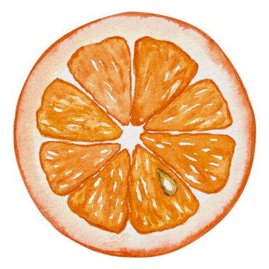 Suluboya ile çizilmiş bir dilim portakal, beyaz arkaplanda izole edilmiş suluboya çizimi