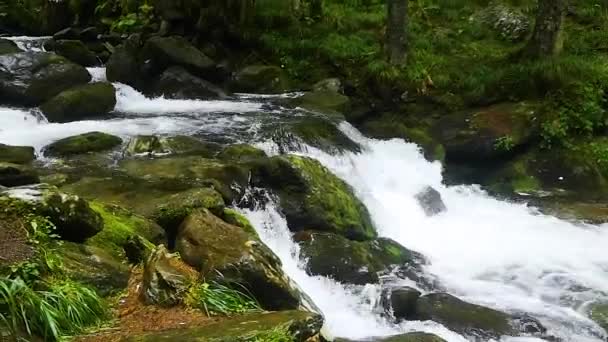 Video Vom Wasserfall Einem Bergigen Wald — Stockvideo