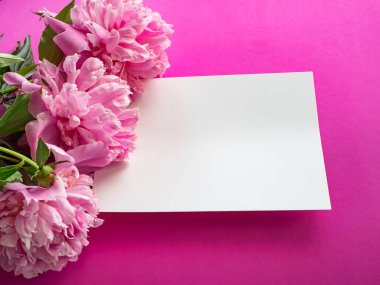 Üzerinde pembe şakayık çiçekleri olan tebrik kartı ve pembe arka planda boş beyaz kağıt. Tebrik mesajlarınız için metin alanı ile birlikte tatil kavramı