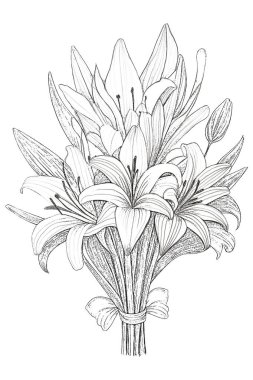 Kalem ve kalemle çizilmiş zambak demeti, boyama kitabı, tebrik kartı.