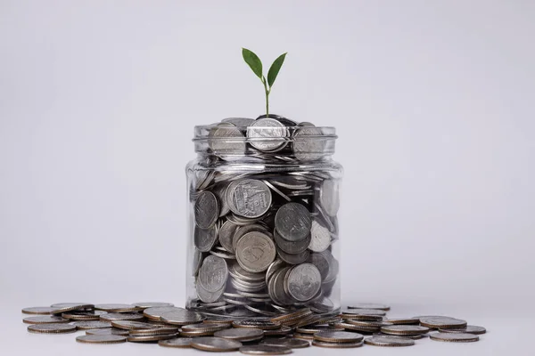 Plant growing from money coins in glass jar for financial and business background. Savings and Accounts, Finance Banking Business Ideas, Investments, Funds, Bonds, Dividends and Interest.