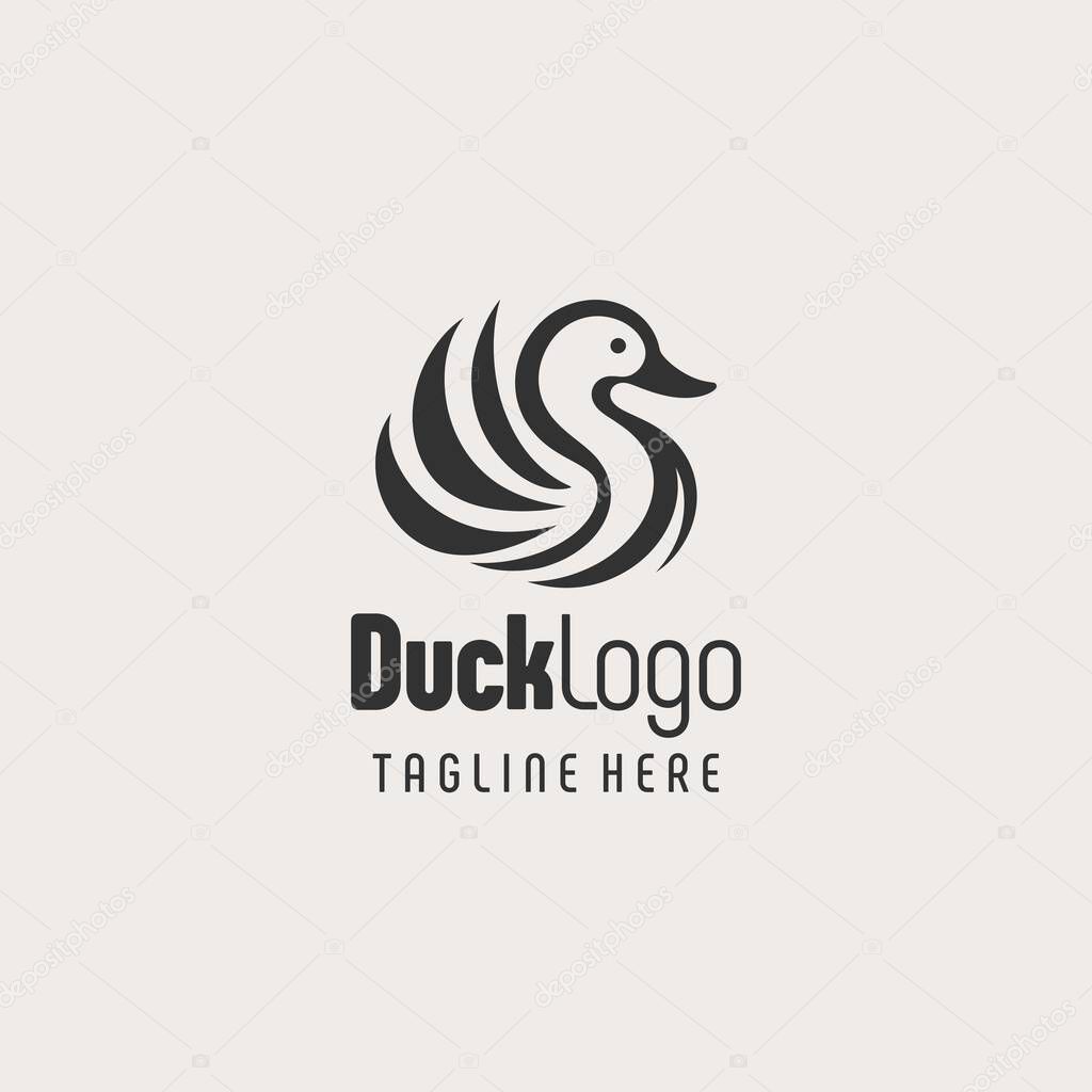 Authentic Black White Duck Concept