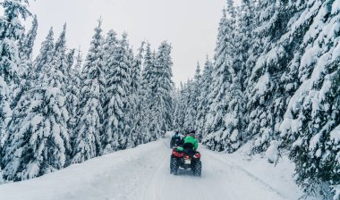Kışın, donmuş dağ ormanlarında köknar ağaçlarıyla dolu güzel karlı yolda bisiklet yarışı yapan bir sürücü. Kış tatili