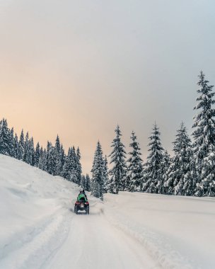 Kışın, donmuş dağ ormanlarında köknar ağaçlarıyla dolu güzel karlı yolda bisiklet yarışı yapan bir sürücü. Kış tatili