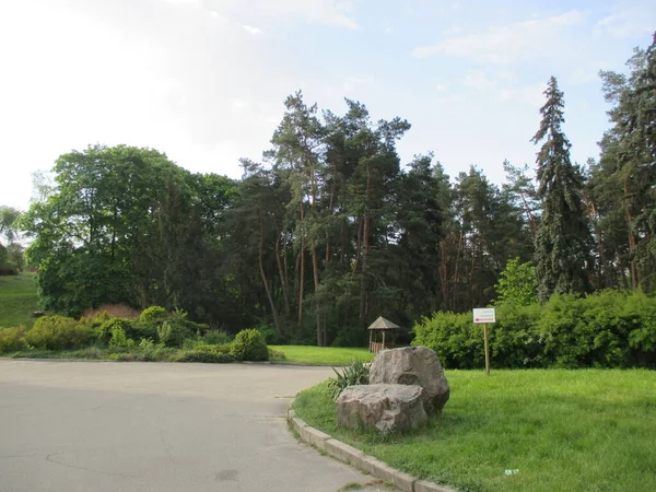 Şehir parkının güzel manzarası