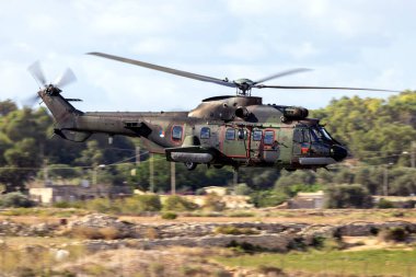 Luqa, Malta - 25 Eylül 2023: Hollanda Hava Kuvvetleri Eurocopter AS-532U2 Cougar Mk2 (REG: S-419) 31 numaralı pist.