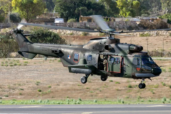 Luqa, Malta - 25 Eylül 2023: Hollanda Hava Kuvvetleri Eurocopter AS-532U2 Cougar Mk2 (REG: S-419) 31 numaralı pist.