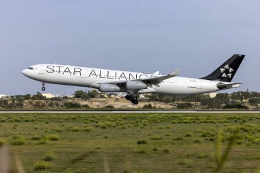 Luqa, Malta - 2 Aralık 2023: Yıldız İttifakı (Lufthansa) Airbus A340-313 (REG: D-AIGW) bakım için Malta 'ya LTM.