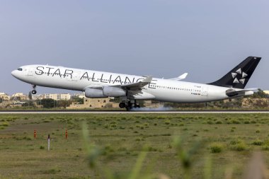 Luqa, Malta - 2 Aralık 2023: Yıldız İttifakı (Lufthansa) Airbus A340-313 (REG: D-AIGW) bakım için Malta 'ya LTM.