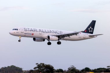 Luqa, Malta - 9 Ekim 2024: Yıldız İttifakı (Türk Hava Yolları) Airbus A321-231 (REG: TC-JRR) gün ışığı sönerken iniş yaptı.