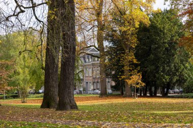 Maastricht, Hollanda - 28 Ekim 2024: Maastricht şehrinde açık hava sahnesi.