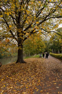 Maastricht, Hollanda - 28 Ekim 2024: Maastricht şehrinde açık hava sahnesi.