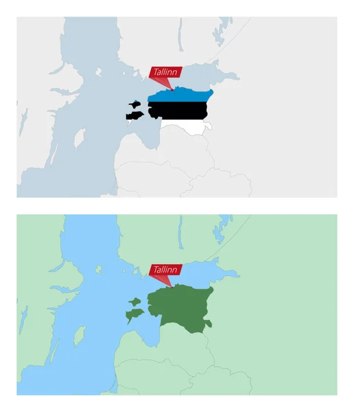Estland Kaart Met Pin Van Land Hoofdstad Twee Types Van — Stockvector