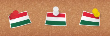 Macaristan bayrağı mantar panoya asılmış, Macaristan bayrağının üç versiyonu.