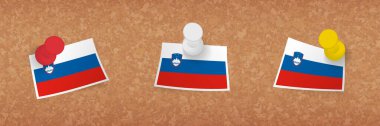 Slovenya bayrağı mantar panoya asıldı, Slovenya bayrağının üç versiyonu.