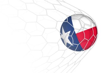Teksas futbol topu ağda.