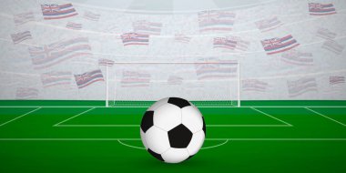 Ulusal Bayraklı, Spor Etkinliği İllüstrasyonlu Hawaii Futbol Arenası.