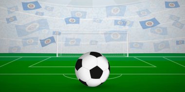 Ulusal Bayraklı, Spor Etkinliği İllüstrasyonlu Minnesotan Futbol Arenası.