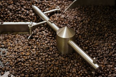 Makineden fırında kahve çekirdekleri, kavrulduktan sonra soğutmak için kahve çekirdekleri, kahve işi..