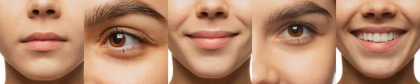 Kolaż Przycięte Żeńskie Części Ciała Ramion Ust Oczu Policzków Idealnie — Zdjęcie stockowe