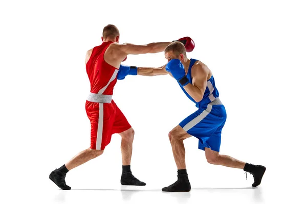 戦うんだ 白の背景に隔離されたスポーツ制服ボクシングの2つのプロボクサーのダイナミックな肖像画 スポーツ トレーニング エネルギーの概念 テキストのコピースペース — ストック写真