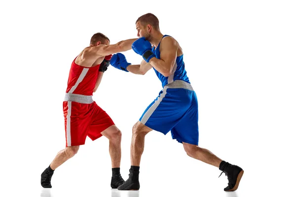 戦うんだ 白の背景に隔離されたスポーツ制服ボクシングの2つのプロボクサーのダイナミックな肖像画 スポーツ トレーニング エネルギーの概念 テキストのコピースペース — ストック写真