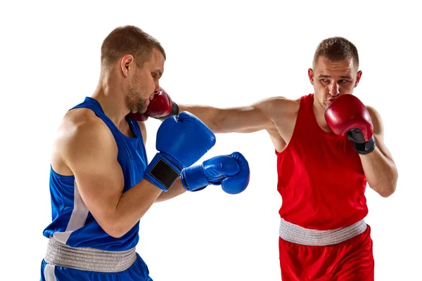 两个拳击手的战斗 两名身穿蓝色和红色运动服训练的肌肉发达的职业拳击手被隔离在白色背景下 能量的概念 广告的复制空间 — 图库照片