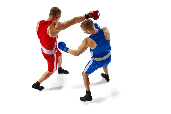 Bitwa Dwóch Bokserów Dwie Muskularne Profesjonalne Bokserki Niebiesko Czerwonym Treningu — Zdjęcie stockowe