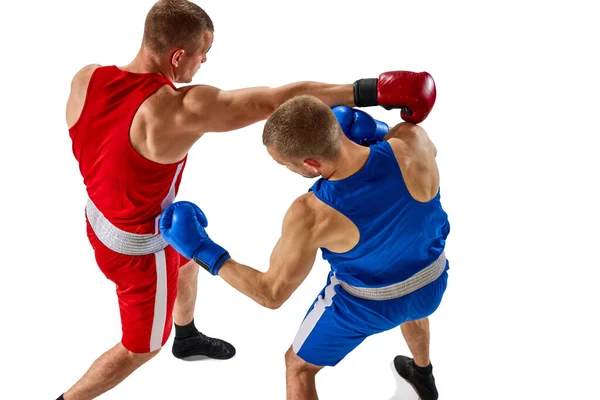 白の背景に隔離された青と赤のスポーツウェアのトレーニングで2つの筋肉のプロボクサーの空中ビュー スポーツ トレーニング エネルギーの概念 — ストック写真