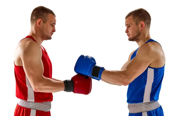 挨拶だ 2人の双子の兄弟 白い背景に隔離された青と赤のスポーツウェアボクシングのプロのボクサー スポーツ トレーニング エネルギーの概念 テキストのコピースペース — ストック写真