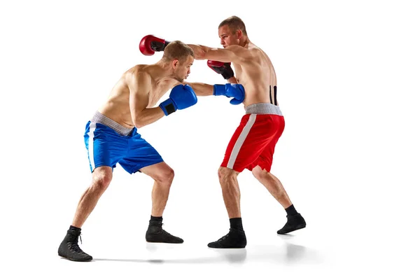 Retrato Efeito Desfocado Dois Boxers Profissionais Boxe Isolado Fundo Roxo — Fotografia de Stock