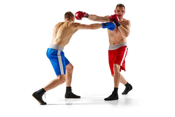 2人の双子の兄弟 白い背景に隔離された青と赤のスポーツウェアボクシングのプロのボクサー スポーツ トレーニング エネルギーの概念 テキストのコピースペース — ストック写真