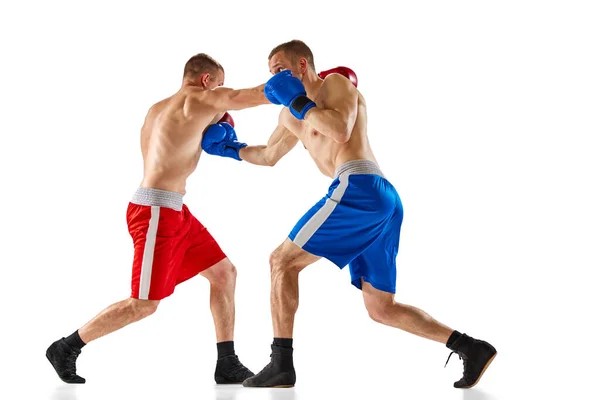 Бийся Динамічний Портрет Двох Професійних Боксерів Спортивній Формі Боксу Ізольовано — стокове фото