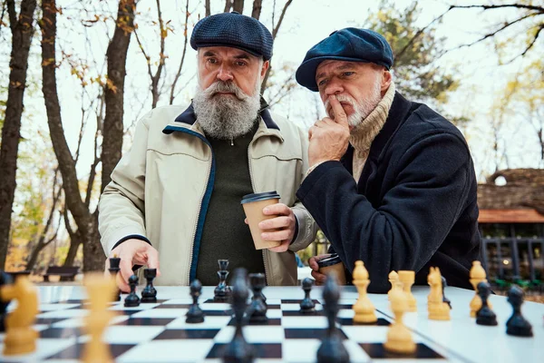 Πορτρέτο Δύο Ανώτερων Ανδρών Που Παίζουν Σκάκι Στο Πάρκο Μια — Φωτογραφία Αρχείου
