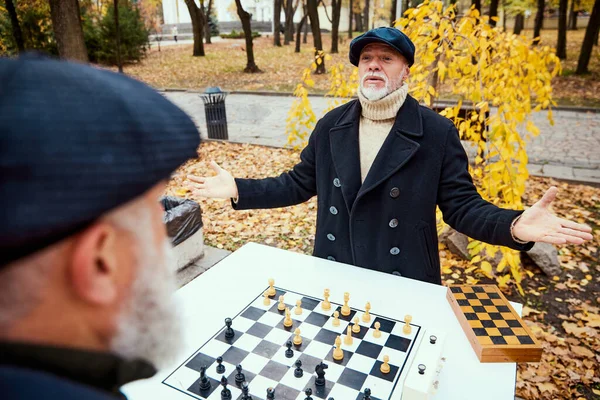 Πορτρέτο Δύο Ανώτερων Ανδρών Που Παίζουν Σκάκι Στο Πάρκο Μια — Φωτογραφία Αρχείου