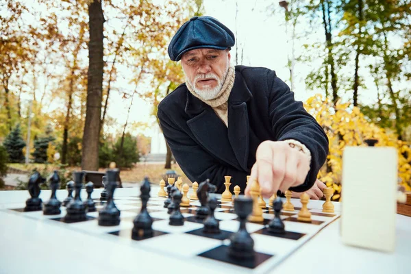 가을에 공원에서 시니어가 체스를 활동의 스포츠 구세대 — 스톡 사진