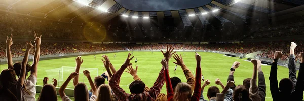 Delight, excitement, emotions. Back view of group of people, football soccer fans cheering at crowded football stadium at evening time. Concept of sport, cup, world, team, event, competition