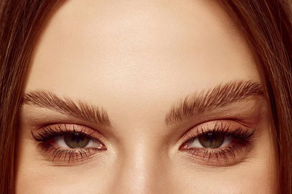 Charm. Close up of beautiful brown female eyes. Perfect trendy eyebrow. Concept of vision, contact lenses, trendy eyebrow makeup concept.